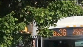 Violencia dentro de un autobús público