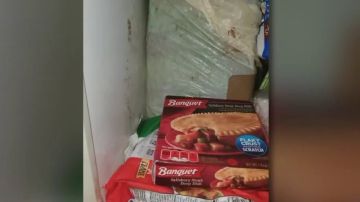 La caja, al fondo del congelador