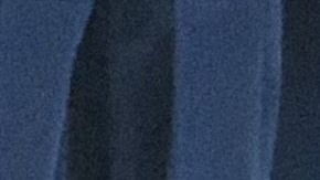 El último mensaje de Provost en el grupo habría sido inofensivo.