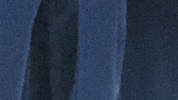 El último mensaje de Provost en el grupo habría sido inofensivo.