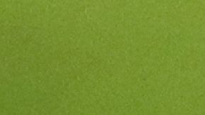 Un gato se saltó al terreno de juego en pleno partido de la Leagues Cup.