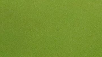 Un gato se saltó al terreno de juego en pleno partido de la Leagues Cup.