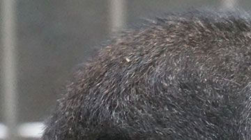 Quizás muy pronto podamos ser capaces de controlar los dispositivos con el cerebro.