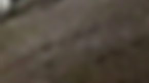 Photo © 2019 Ciao Pix/The Grosby Group


***EXCLUSIVE***

Kourtney Kardashian enjoys her holiday in Costa Smeralda, Sardinia, Italy.