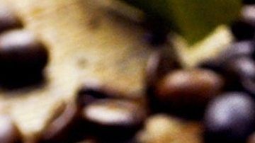 El consumo de estos alimentos te llenarán de energía sana y lograrás óptimos niveles de concentración en tu día.