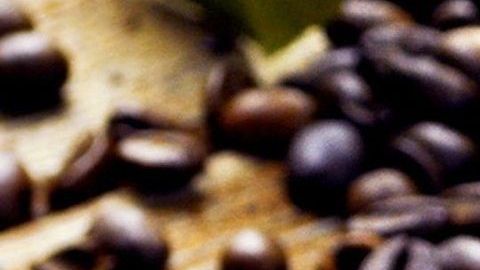 El consumo de estos alimentos te llenarán de energía sana y lograrás óptimos niveles de concentración en tu día.