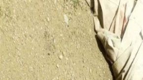 Con brutal tortura sicarios matan a jefe policial en México