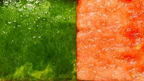 cr-health-inlinehero-iswatermelongoodforyou-6-19