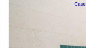 Los baños de los centros de detención.