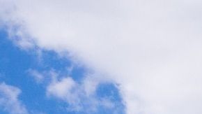 Cuidado con lo que haces al interior de Disney.