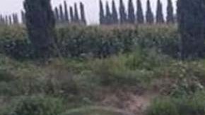 El cuerpo del hombre fue hallado en en el dren de Valsequillo.