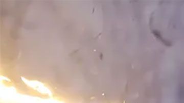 Debes saber que sólo te venderán el lanzallamas, por lo que tú deberás proporcionar un dron apropiado para montarlo.