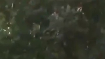 Los hechos ocurrieron a la 1:20 de la madrugada.