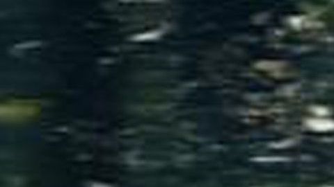 "El Señor de los Cielos"