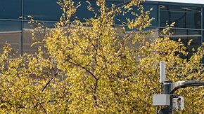 Los demandantes alegan que la empresa no los contrató por ser mayores de 40 años.