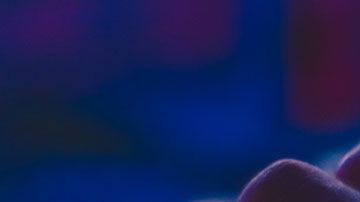 Para solicitar tu compensación tienes que ingresar tus datos en la página que se dispuso para atender este problema.