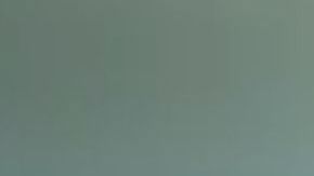 Estrellita y Cataleya consiguieron el asilo este lunes.