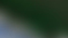 La joven Eve Jobs tiene 21 años y se ganó un lugar en el equipo de equitación