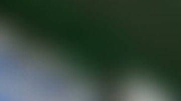 La joven Eve Jobs tiene 21 años y se ganó un lugar en el equipo de equitación