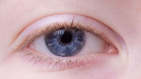 eye-2162168_1920