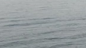 Tragedia familiar en Atlantic City