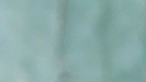 La tiroides es responsable del control del peso corporal y del nivel de colesterol en la sangre.