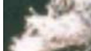 Blanco fue asesinada en Medellín, en el 2012.