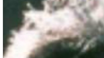 Blanco fue asesinada en Medellín, en el 2012.