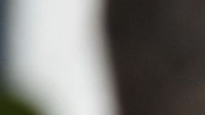 FBI imagen de archivo.