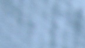 Indocumentados centroamericanos.