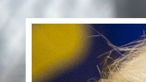 El Gobierno de Trump busca reducir el ingreso de inmigrantes en la frontera.