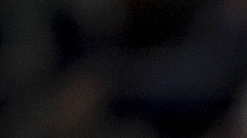 Sounders de Seattle cumplió el sueño de un pequeño con leucemia.