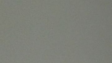 Crece el temor por el futuro de hijos de Tepesianos que tendrían que salir del país