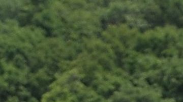 Las inundaciones por crecidas del Mississippi afectan desde junio.