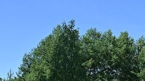 Gente cercana asegura que este héroe fue olvidado por el gobierno.