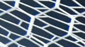 Paolo Guerrero entra a la lista de los jugadores que le han anotado a todos sus rivales de CONMEBOL.