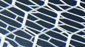 Paolo Guerrero entra a la lista de los jugadores que le han anotado a todos sus rivales de CONMEBOL.