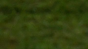 Gabriel Jesús sale expulsado y hace una rabieta.