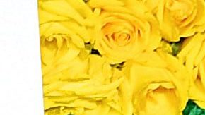 Thalía y Tommy Mottola.