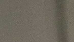 El presidente utilizará otros recursos para conocer el estatus migratorio de quienes residen en EEUU.