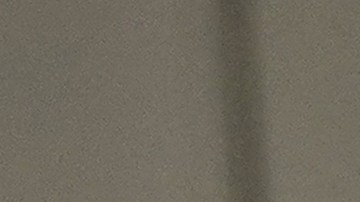 El presidente utilizará otros recursos para conocer el estatus migratorio de quienes residen en EEUU.