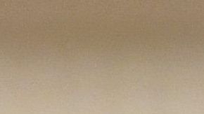 El presidente Trump no soporta las críticas.