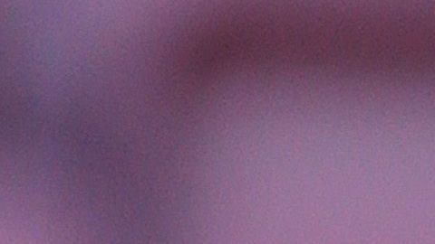 La guapísima novi de Frenkie De Jong no deja de acaparar miradas en Barcelona.