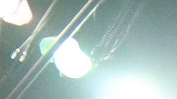 Así se vivió el sismo en juegos de la NBA y la MLB.