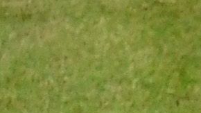 Nicolas Mahut recibió un duro impacto durante la final de Dobles.