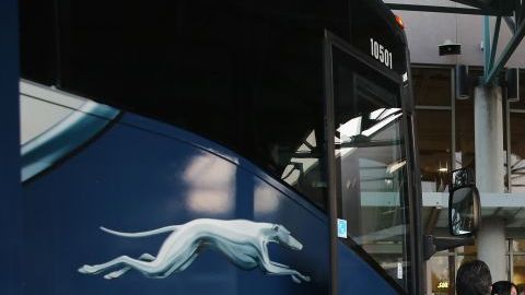 Varios detenciones de inmigrantes se han realizado en estos buses