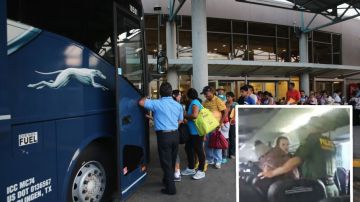 Varios detenciones de inmigrantes se han realizado en estos buses