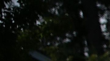 California está ubicada en una zona con altas probabilidades de actividad sísmica.