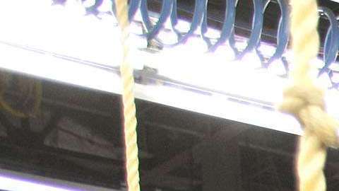 Este año Ford enviará producción de autos eléctricos a México.