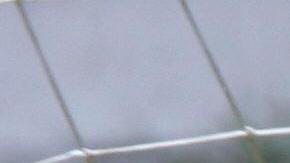 Oscar Pérez recibirá un homenaje a su trayectoria de más de 25 años.